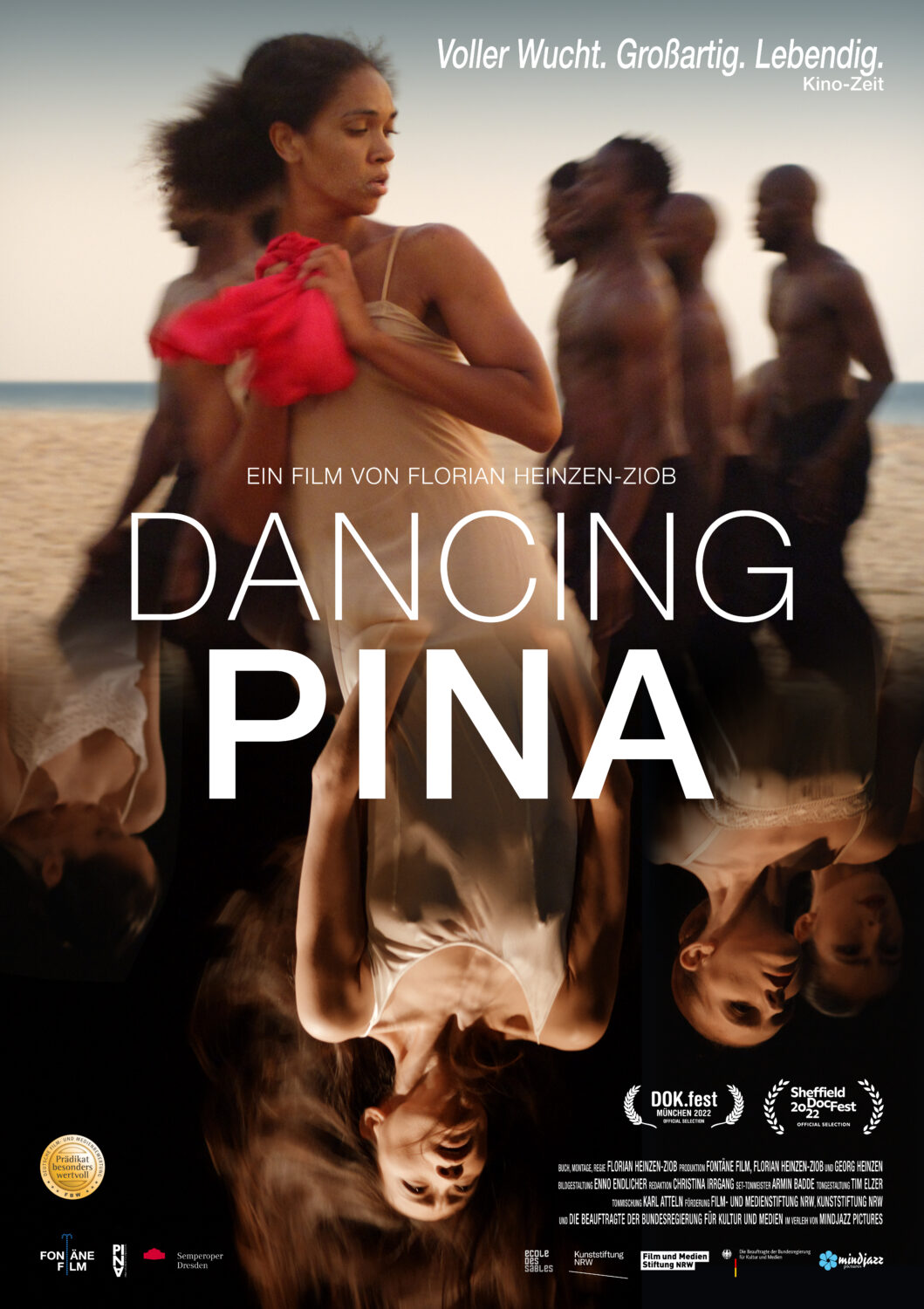 Dancing Pina - Lets Dok